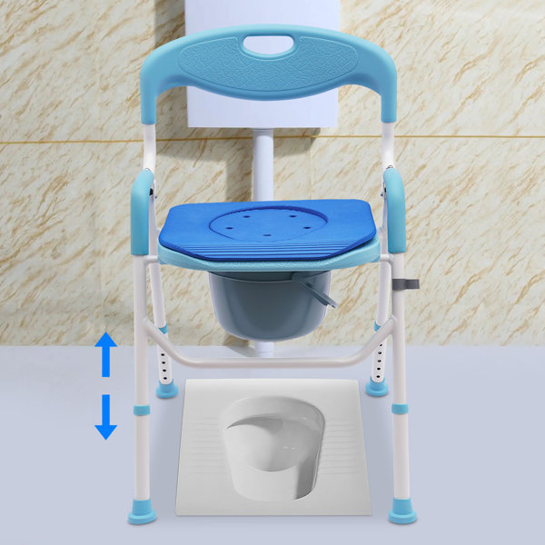 DENFER Shower Folding Toilet Seat with Commode | Wayfair